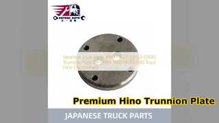 Penggantian Plat Trunnion Hino 500 700 49431 1020